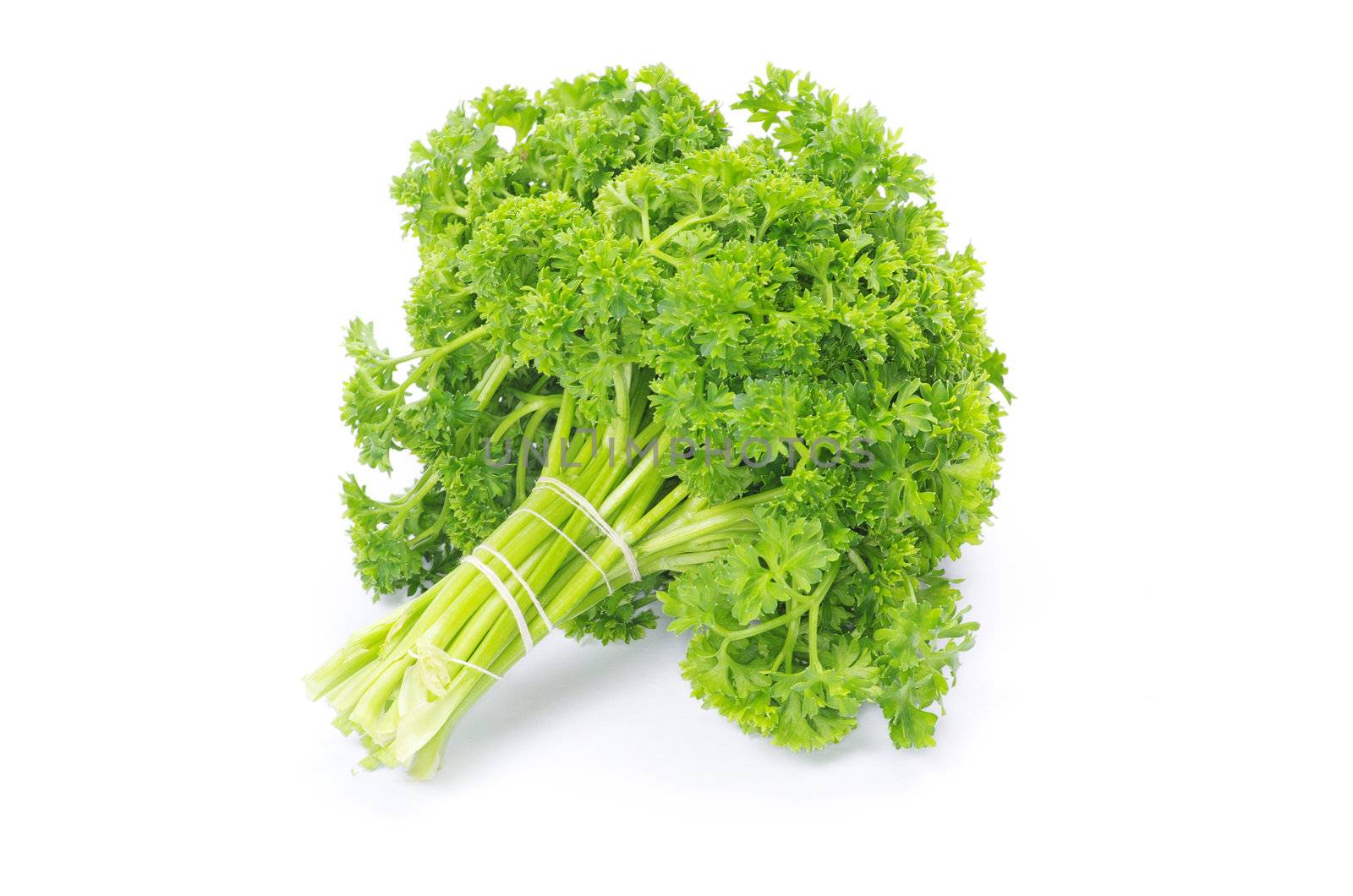 Bunch of fresh green parsley isolated on white background