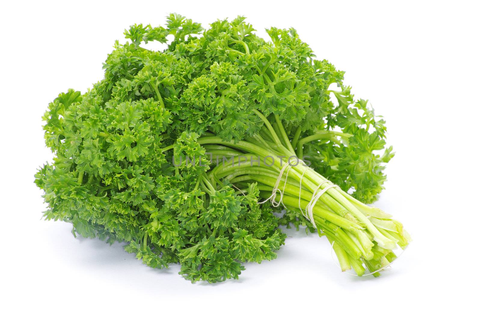 bunch of parsley on a white background