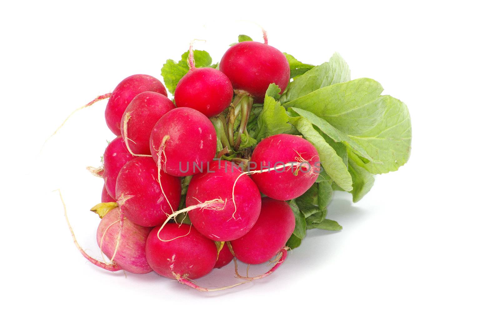 Fresh radishes on a white background
