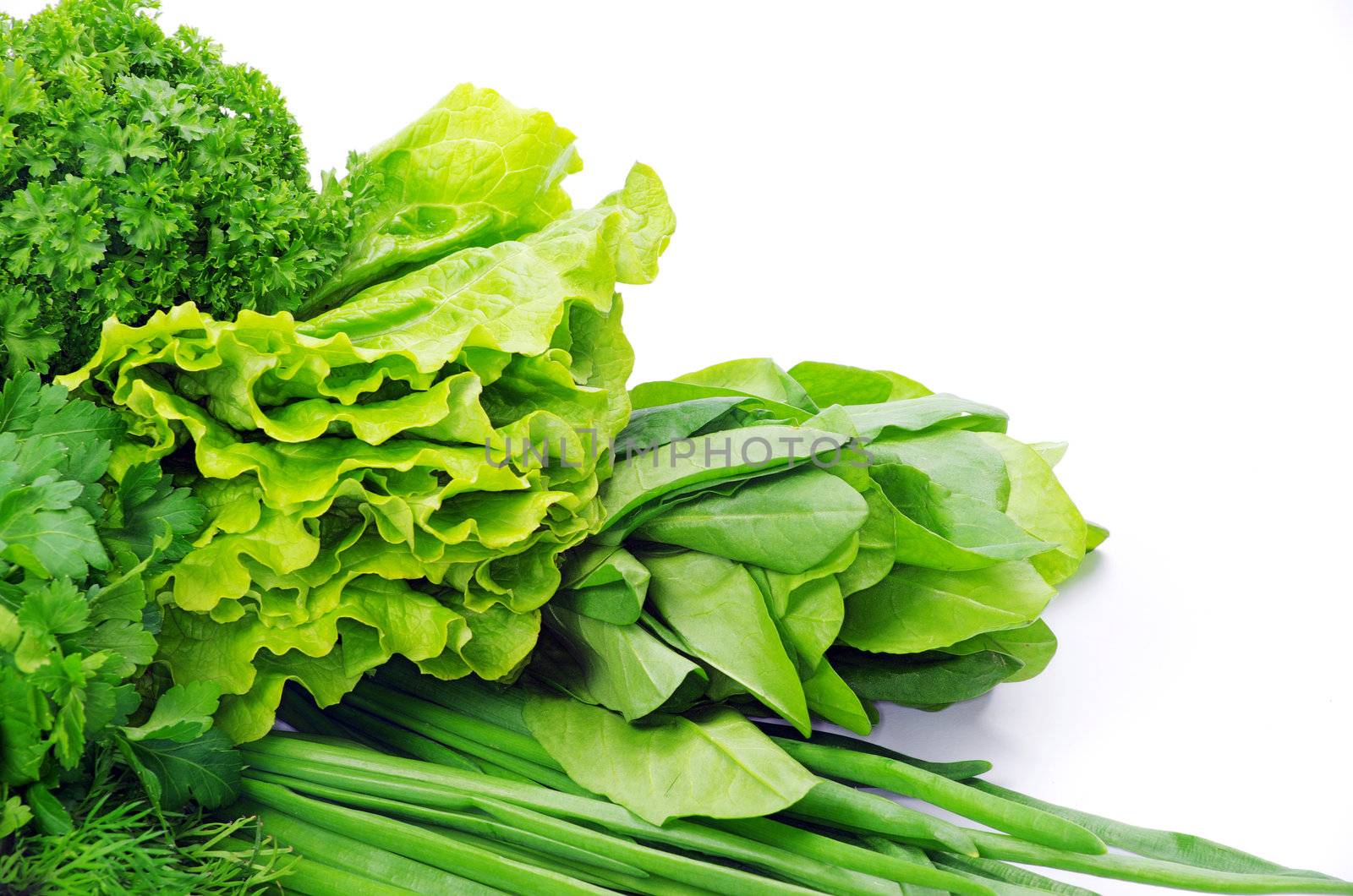Fresh herbs isolated on white