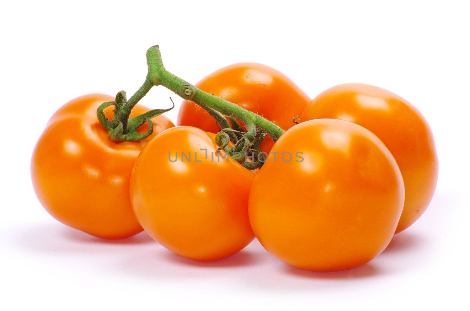 tomato isolated on a white
