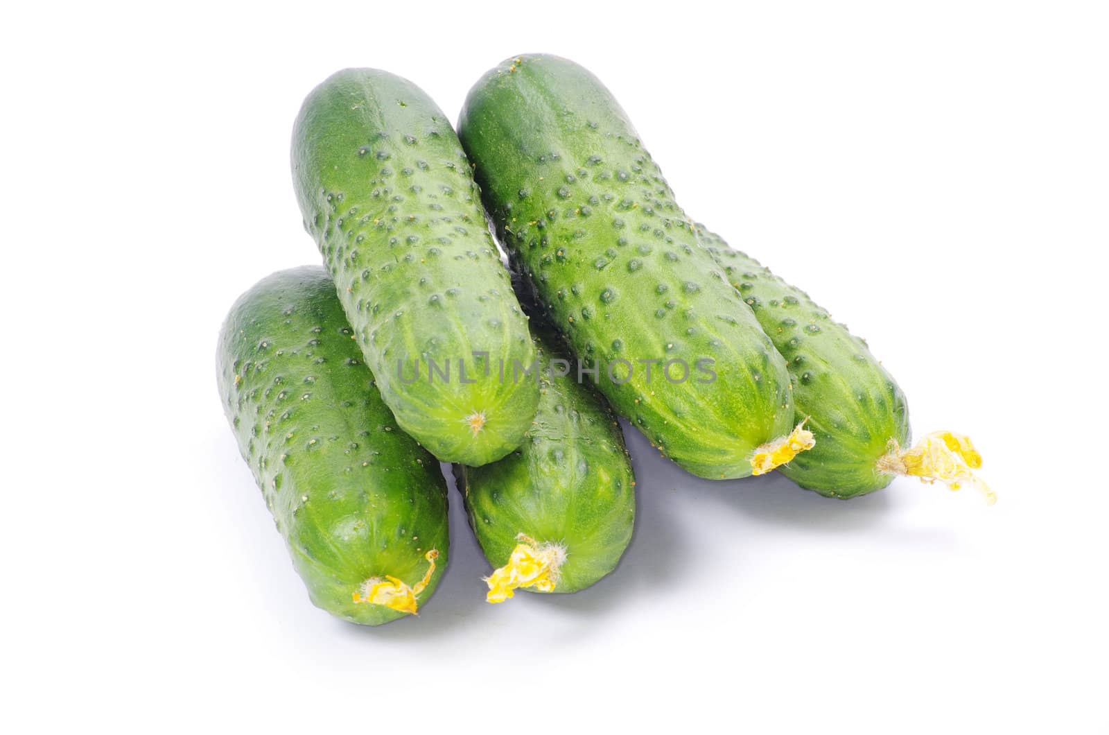 Cucumbers on the white background