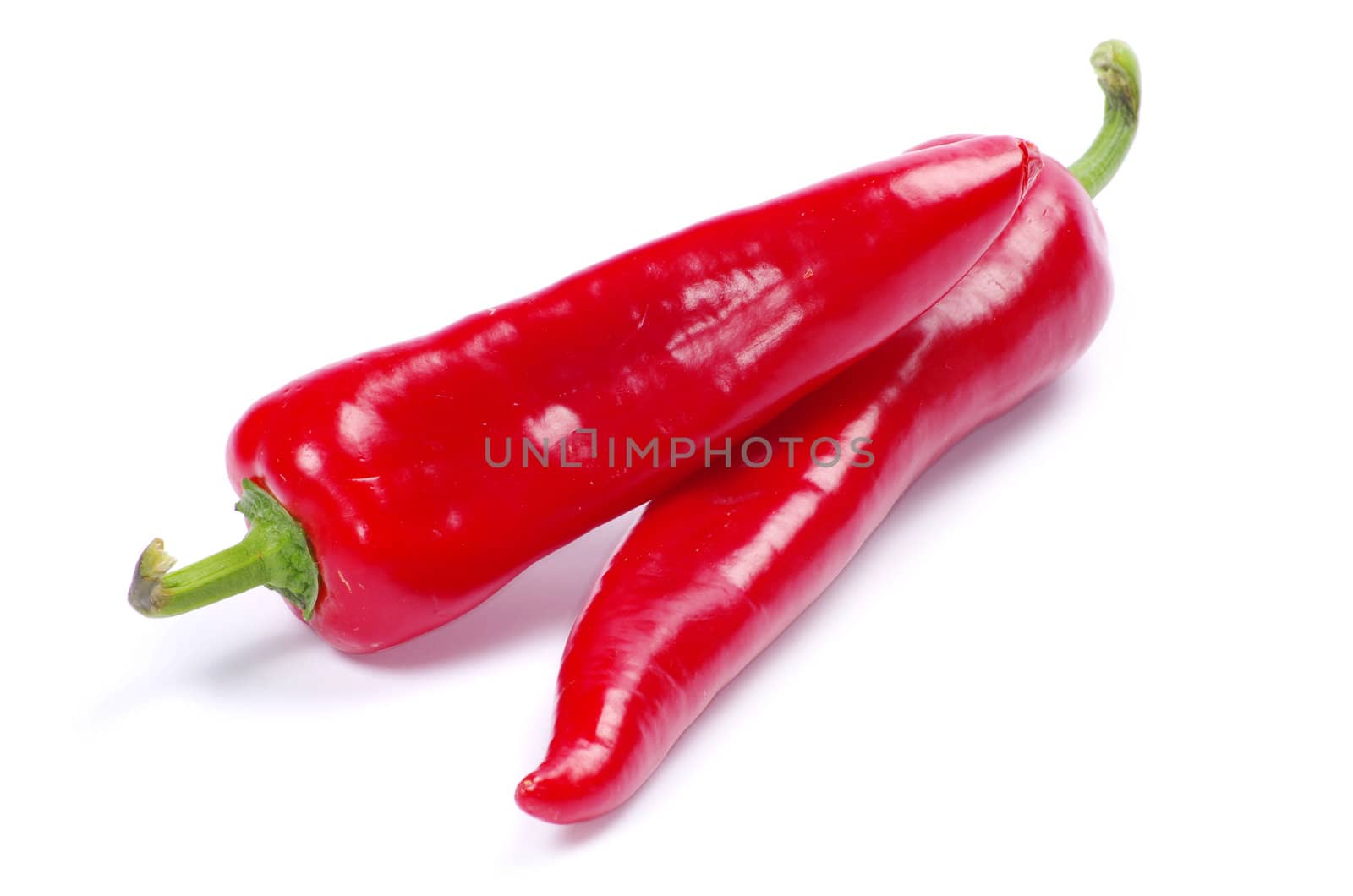 red hot chili pepper on white