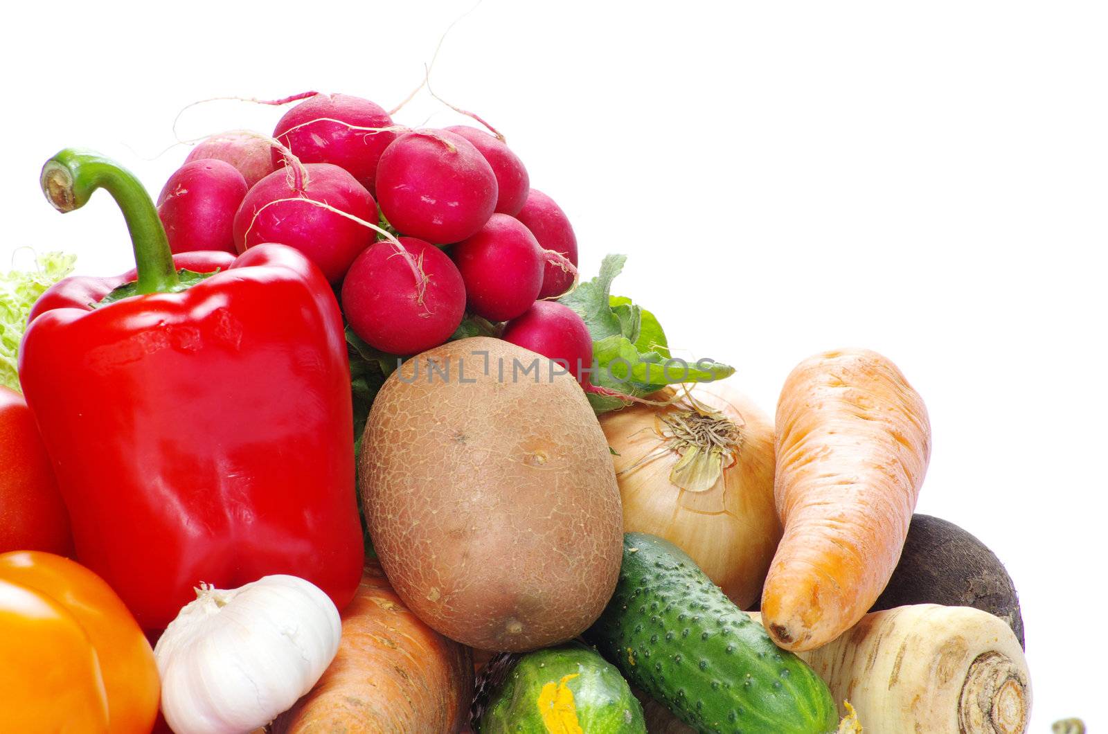 fresh vegetables on the white background