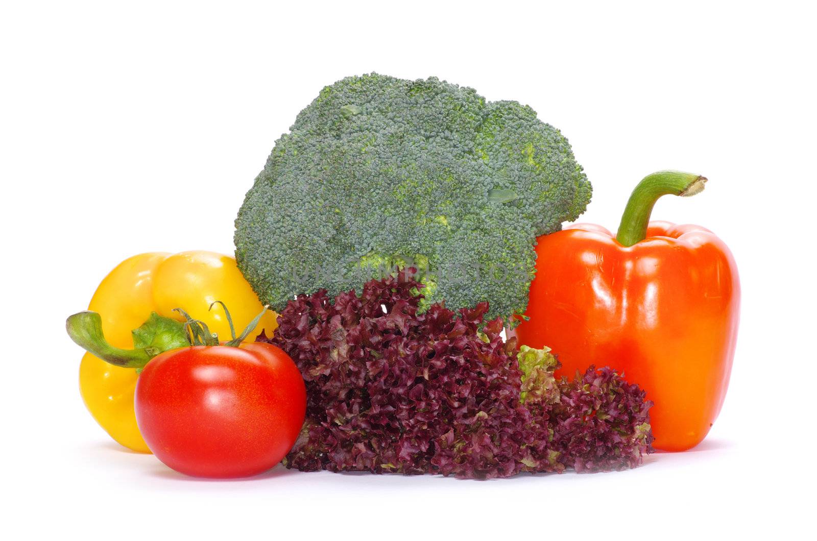  vegetables on the white background