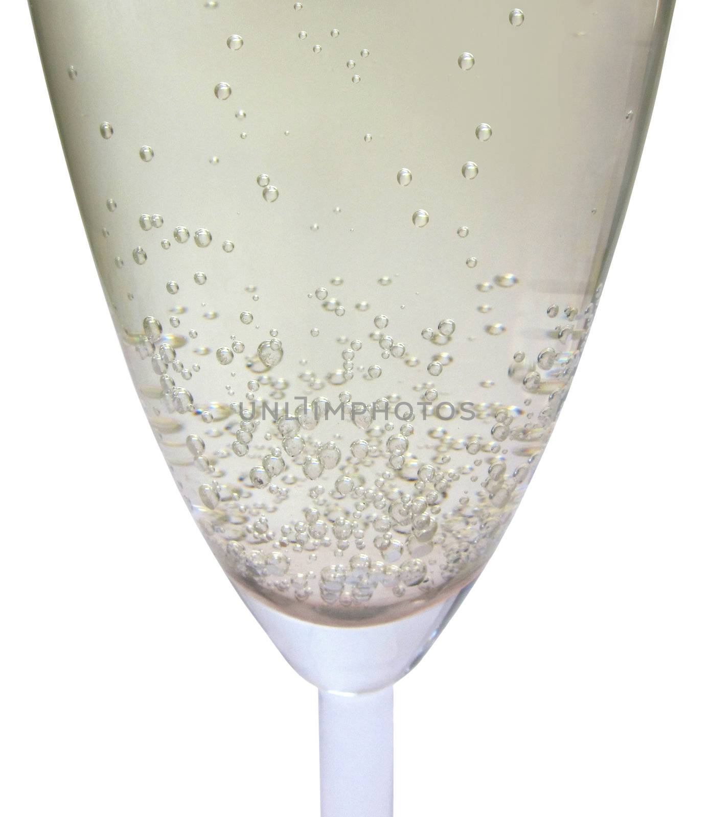 Closeup of a glass of freshly poured champagne 