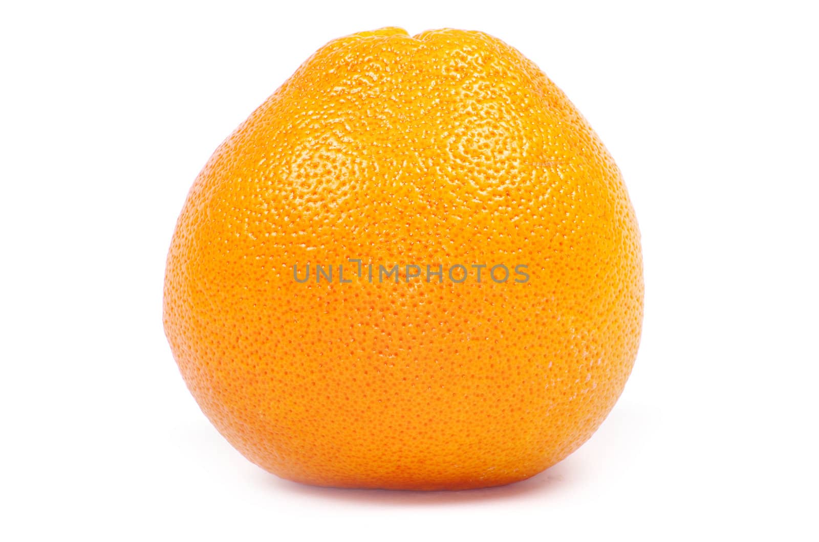  grapefruit isolated on a white