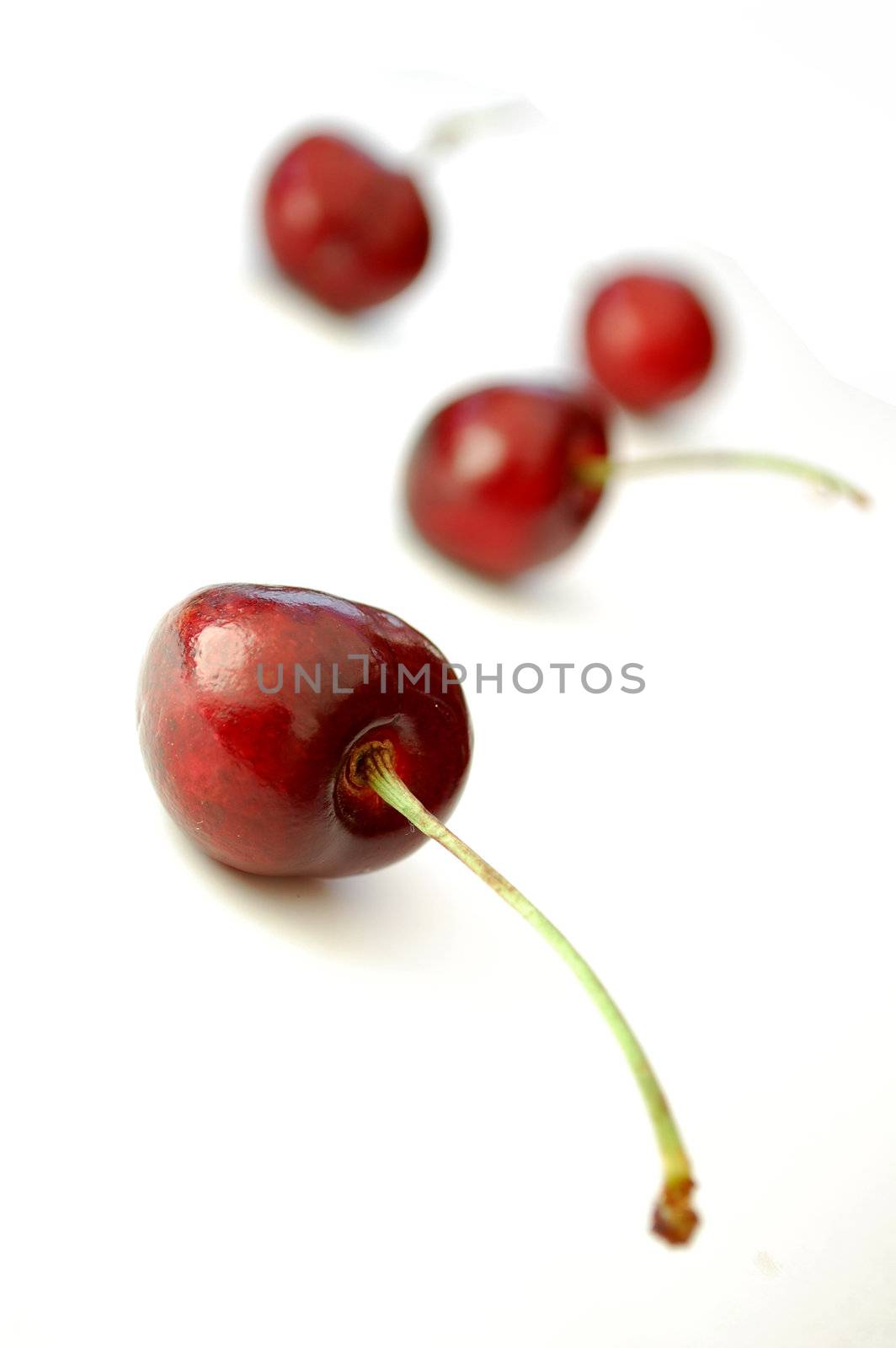 Isolated cherries on a white background