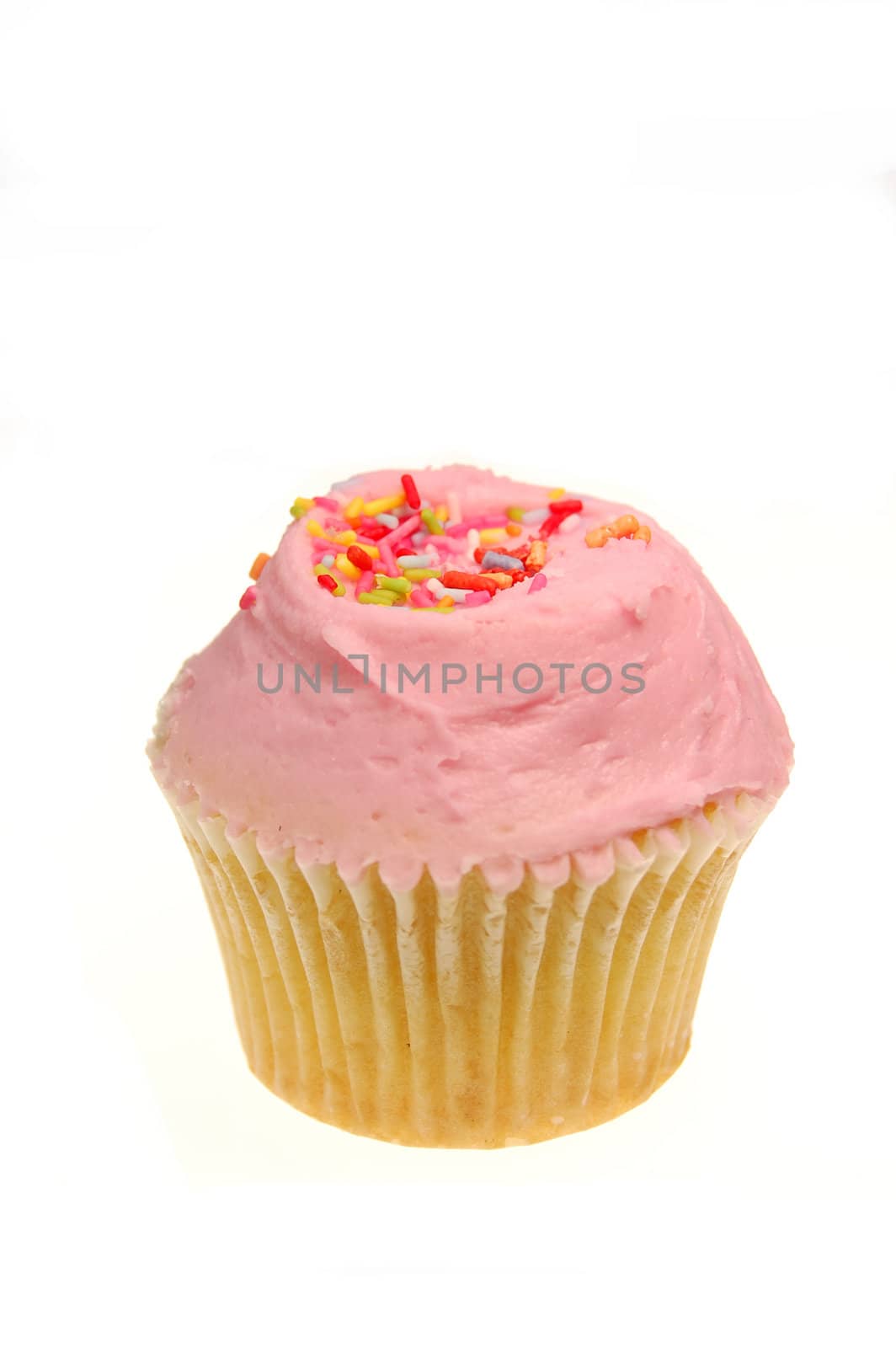 Cupcake isolated on a white background
