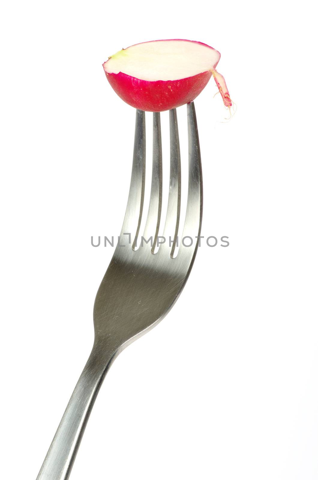 Radish on a fork isolated on white