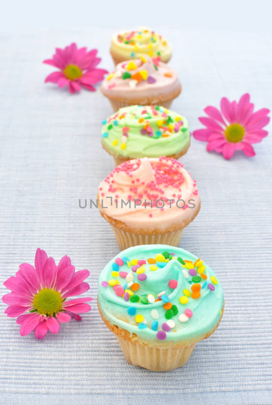 Delicious cupcakes with pink daisies