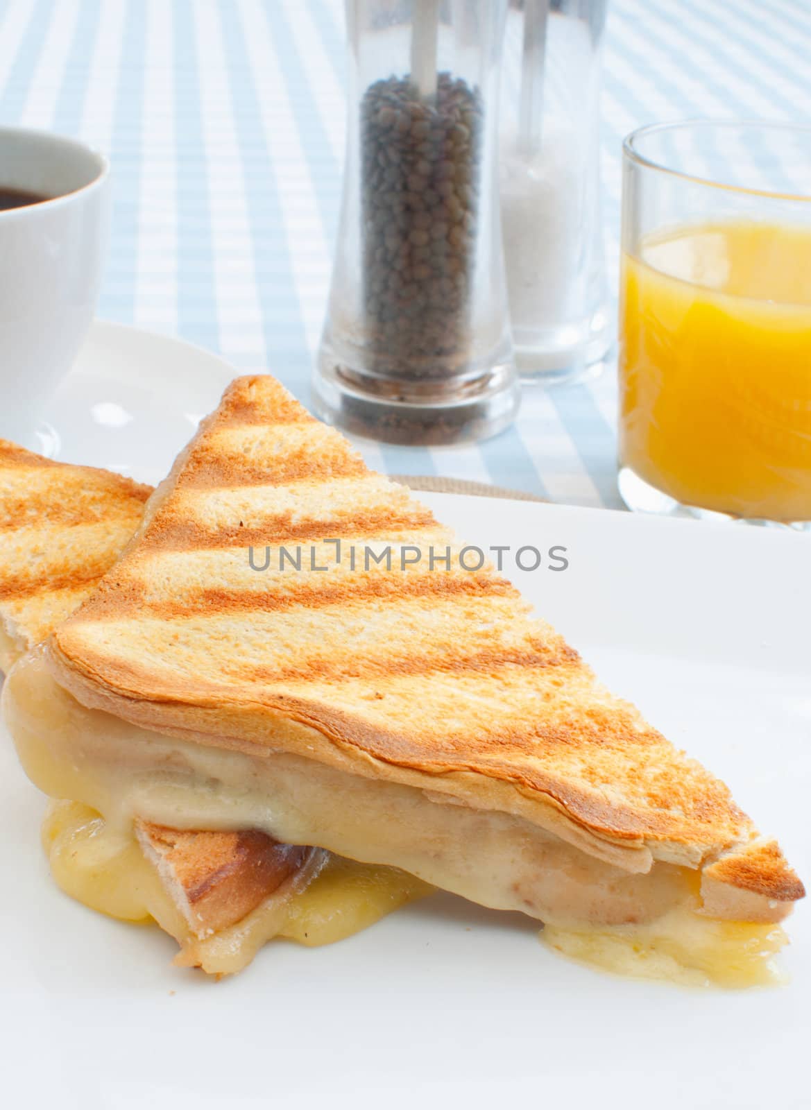 Toasted sandwich with melted cheese