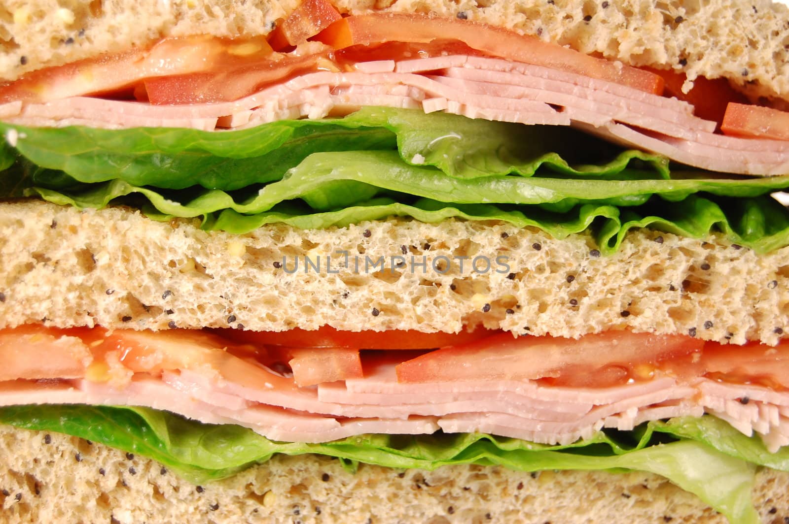 Closeup of a healthy ham and lettuce sandwich