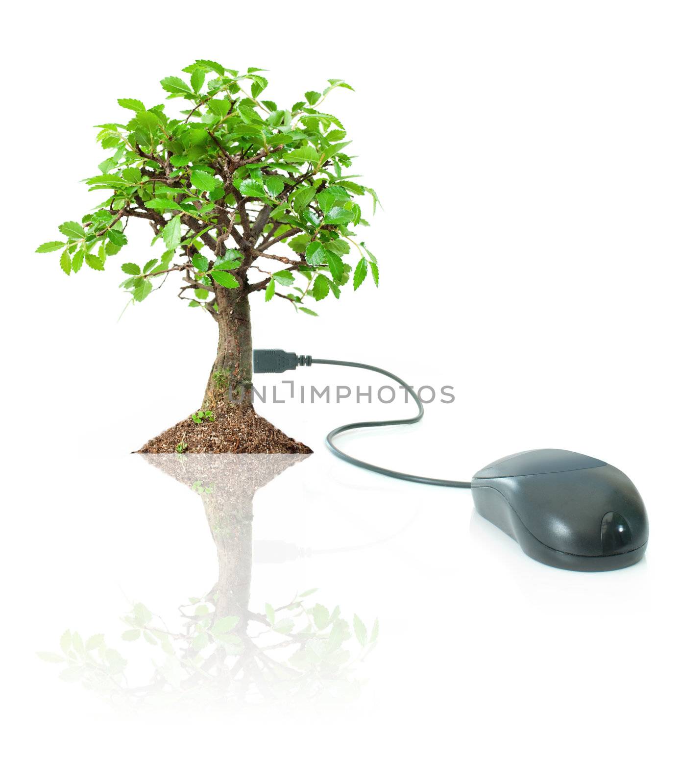 Eco friendly technology by unikpix