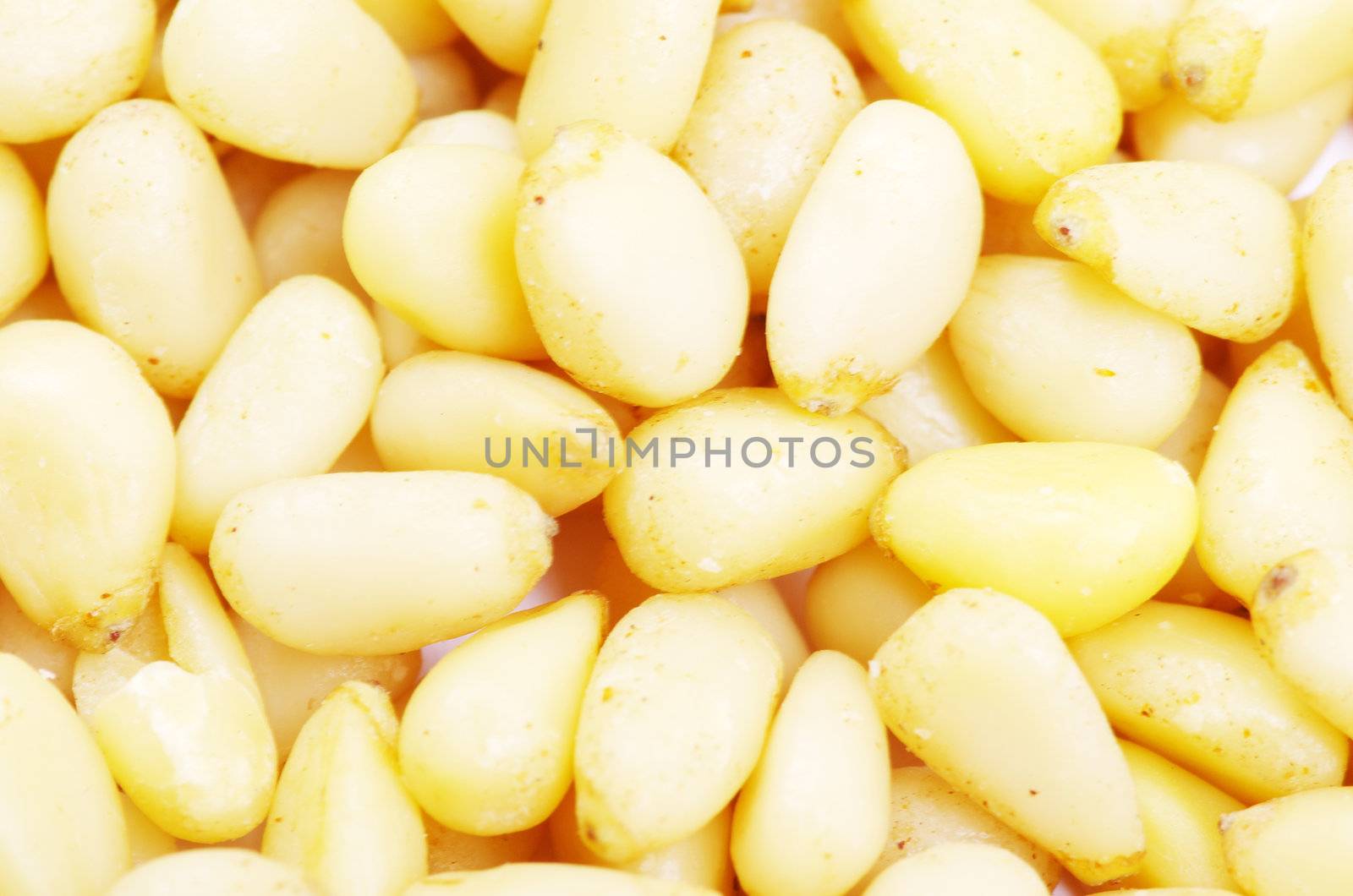 Close up of a background pine nuts