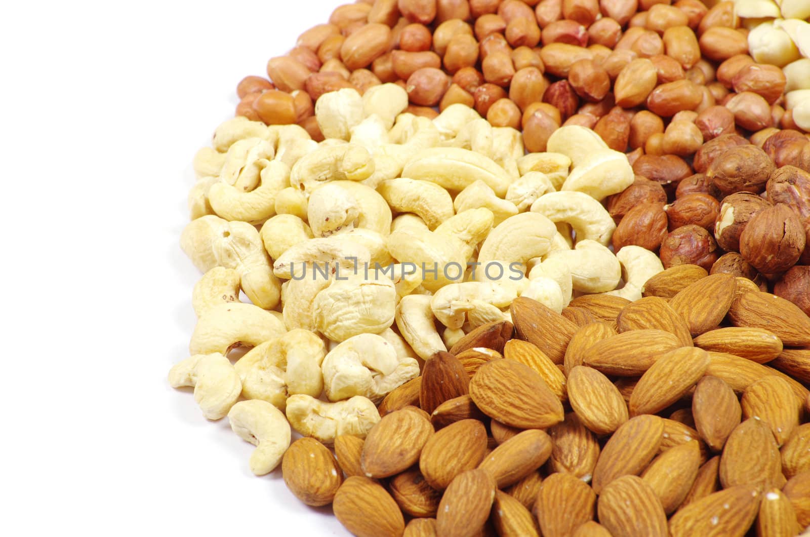 nuts collection isolated on background