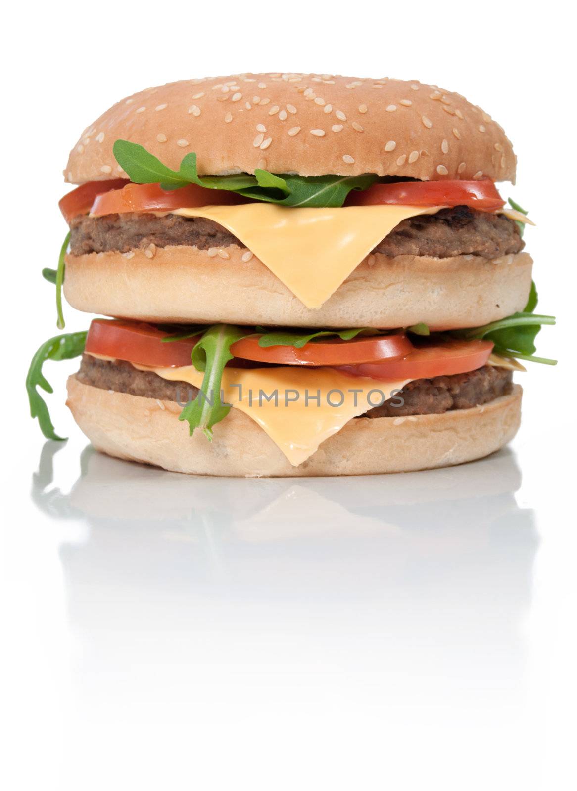 Hamburger by unikpix
