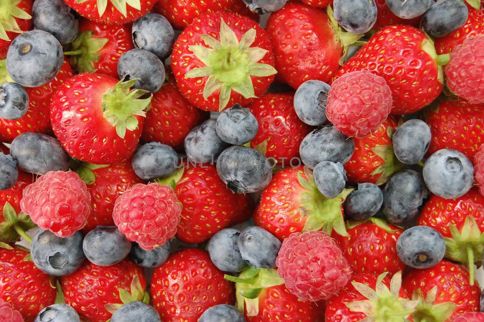 Assorted ripe summer berries