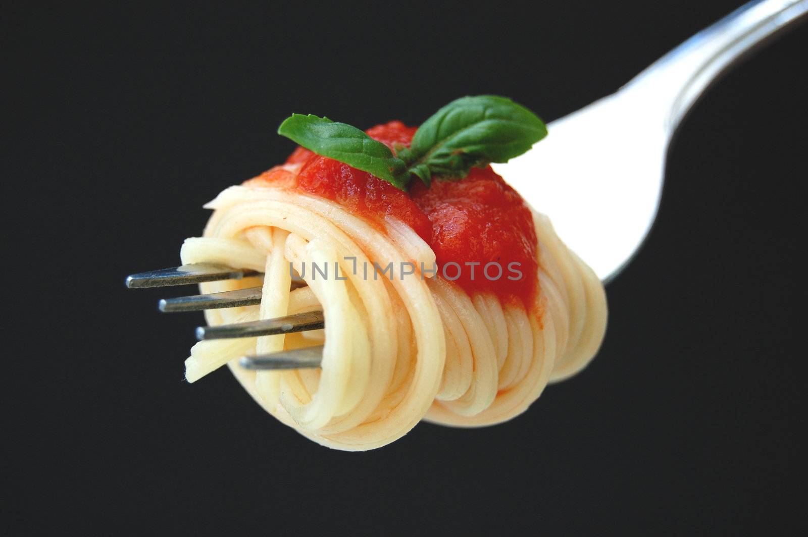 Spaghetti on a fork (closeup)