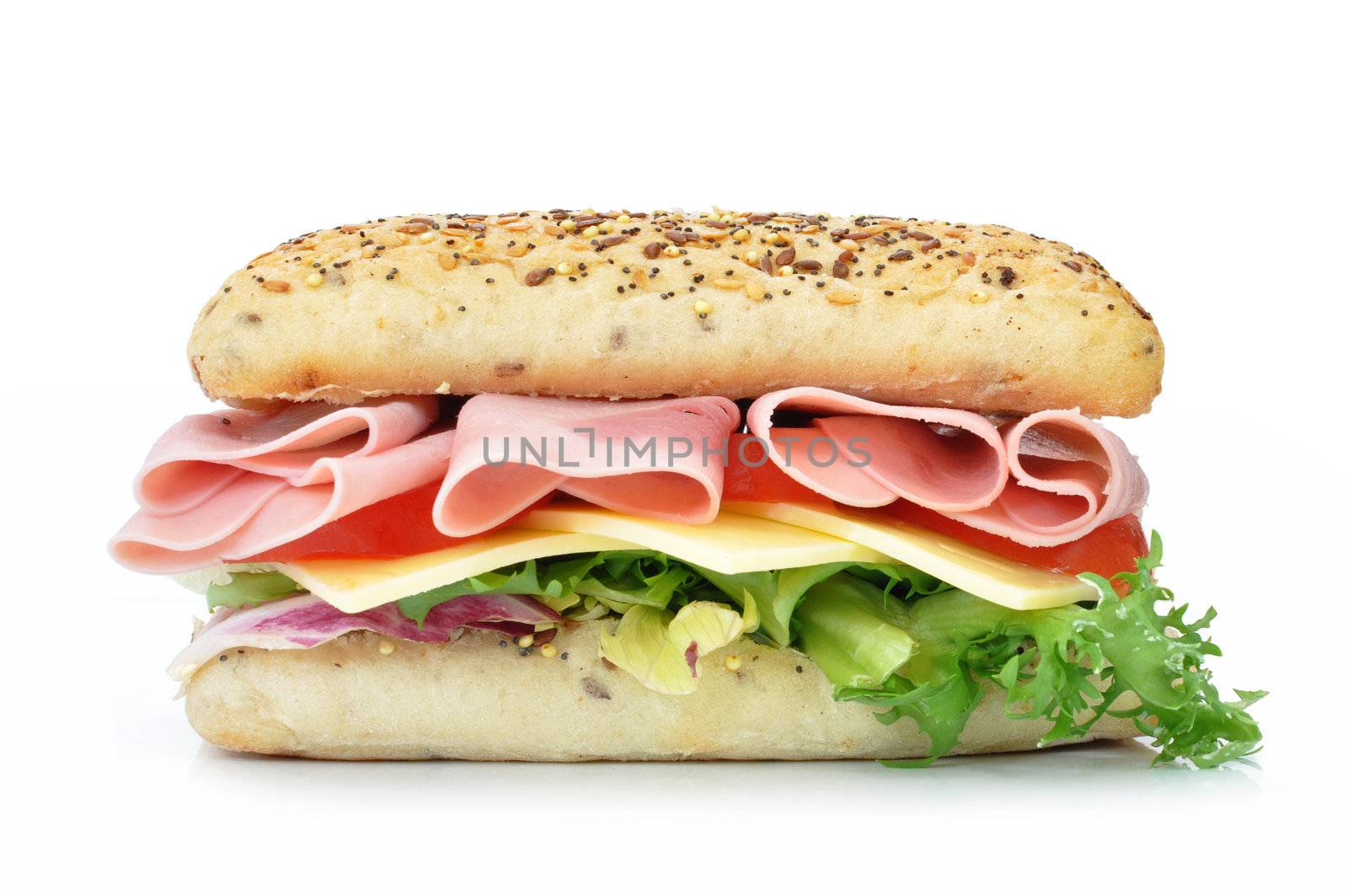 Sub sandwich by unikpix