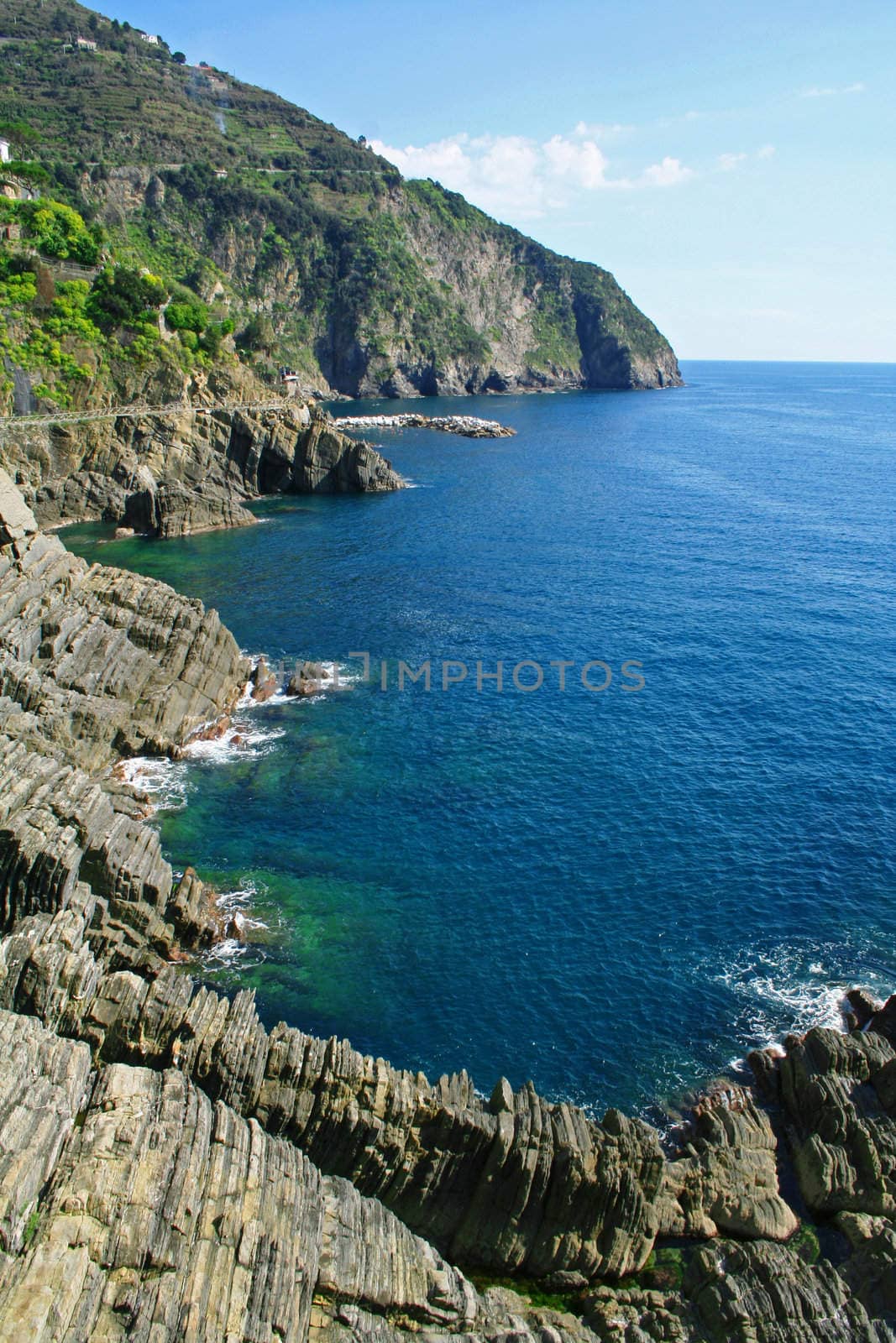 Italy. Cinque Terre coastline