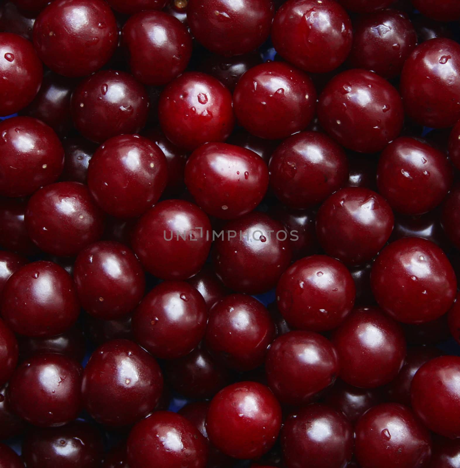 Wet ripe cherries can use as background