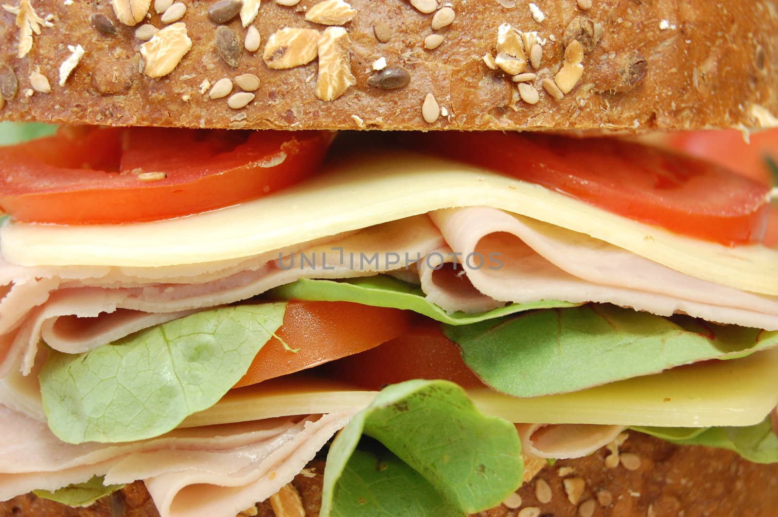 Closeup of a delicious deli sandwich