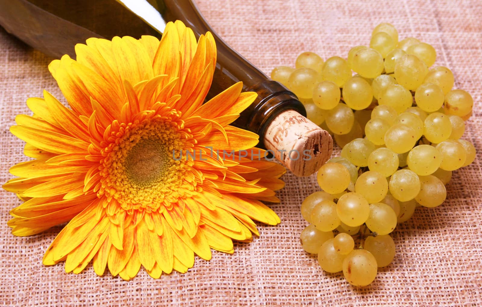 Wine bottle with yellow flower and grapes branch