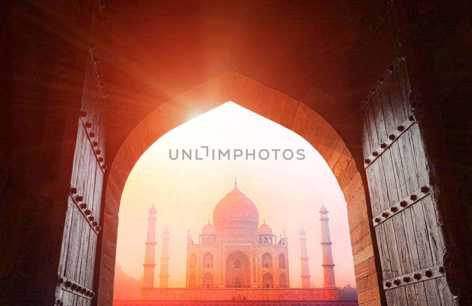 Taj Mahal in the sunlight by vladimir_sklyarov