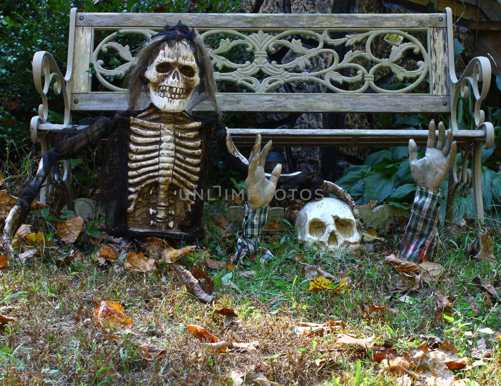 A seasonal Halloween design using a skull and ghoul with room for your text