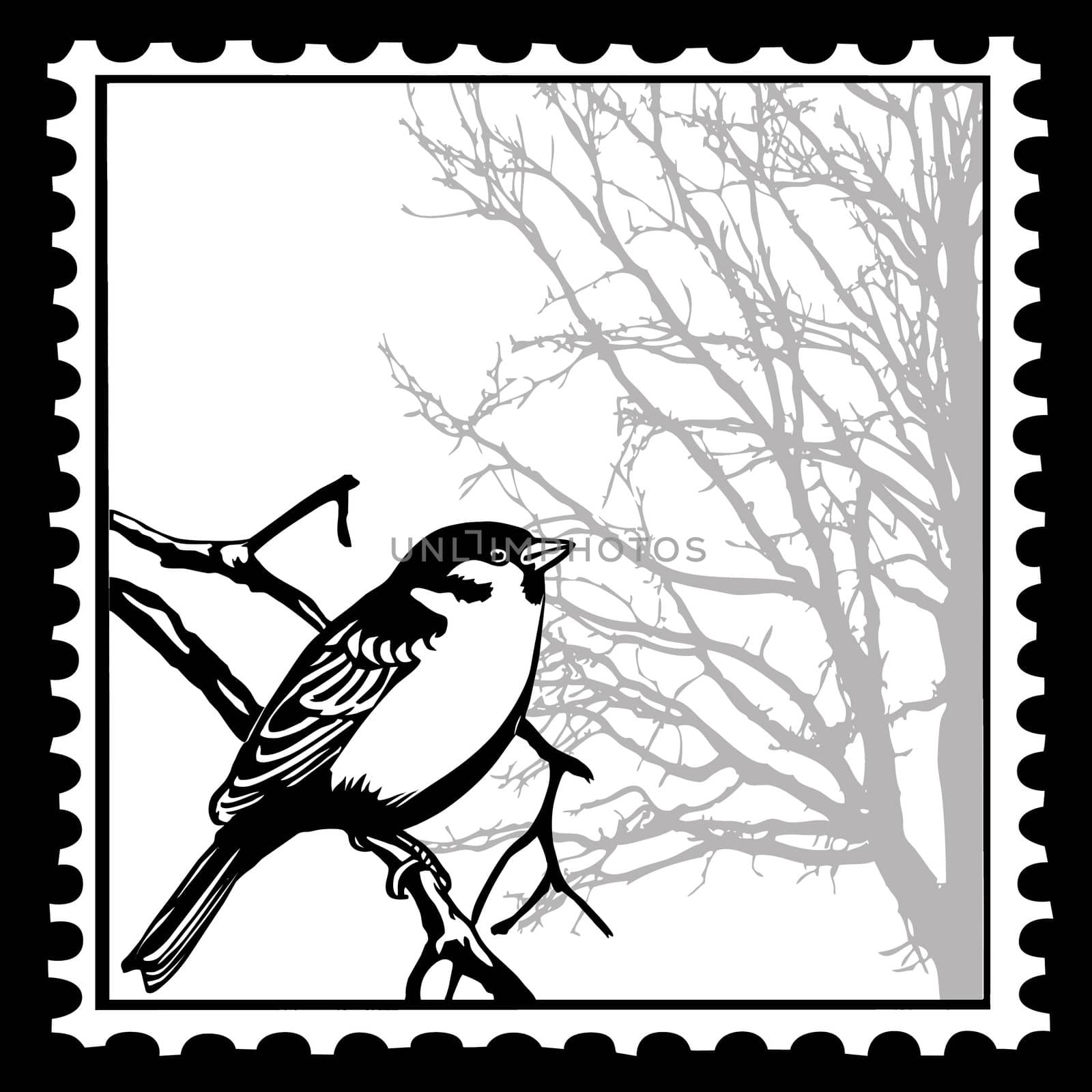 vector silhouette of the birds on postage stamps