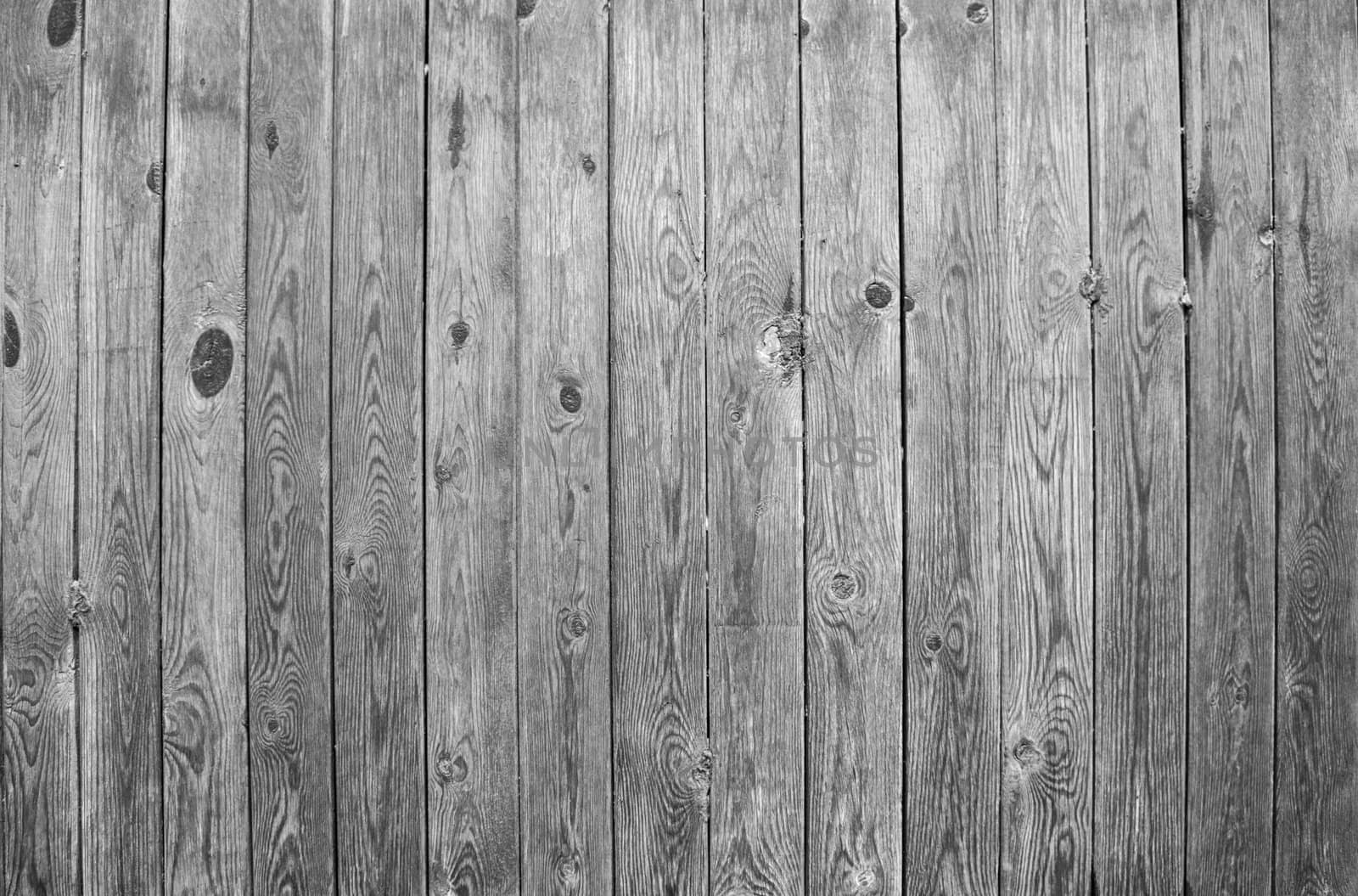 texture of the old wooden panels for background