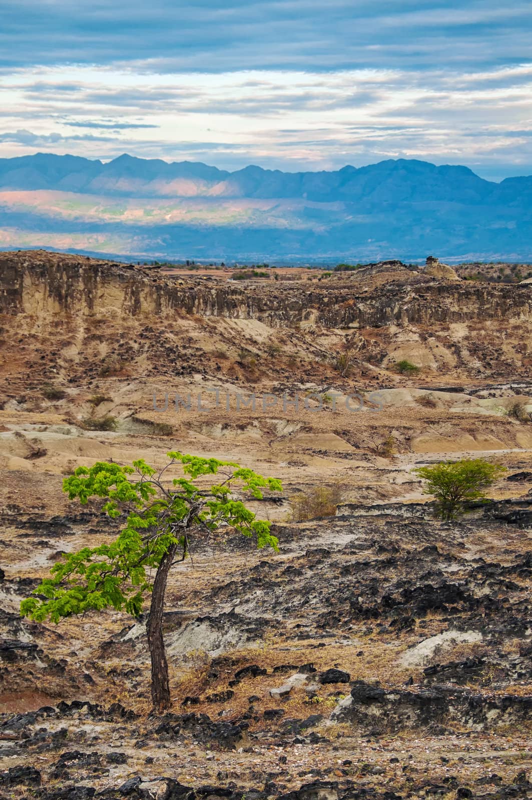 View of dry desolate desert with Andes Mountains in the background