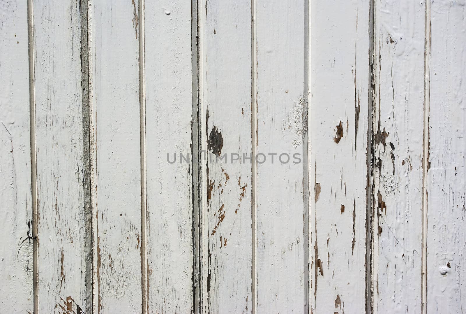 texture of the old wooden panels for background