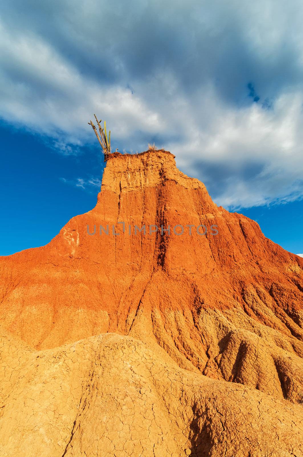 A cactus sitting atop of a red desert column