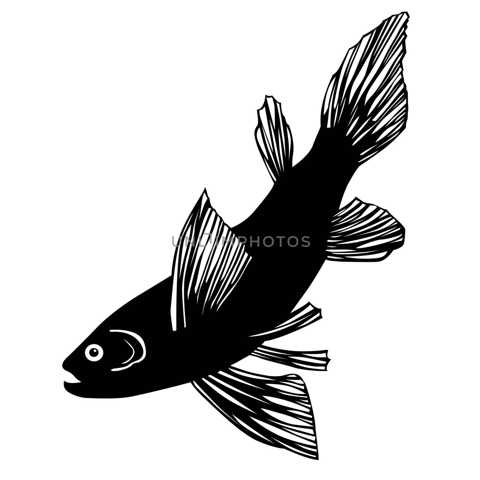 silhouette of fish on white background by basel101658