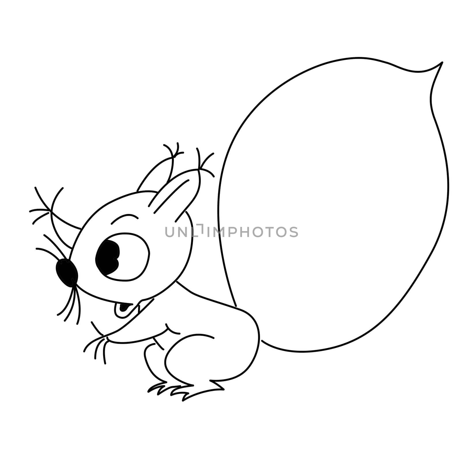 drawing squirrel on white background by basel101658