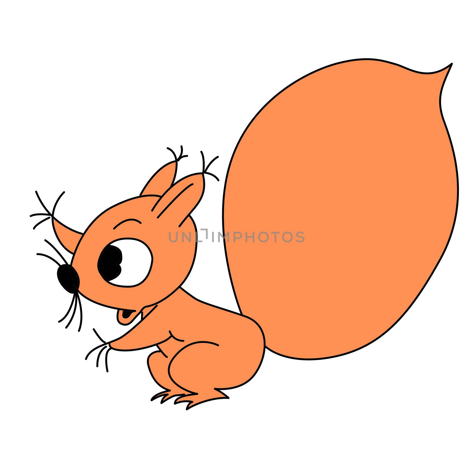vector drawing squirrel on white background by basel101658
