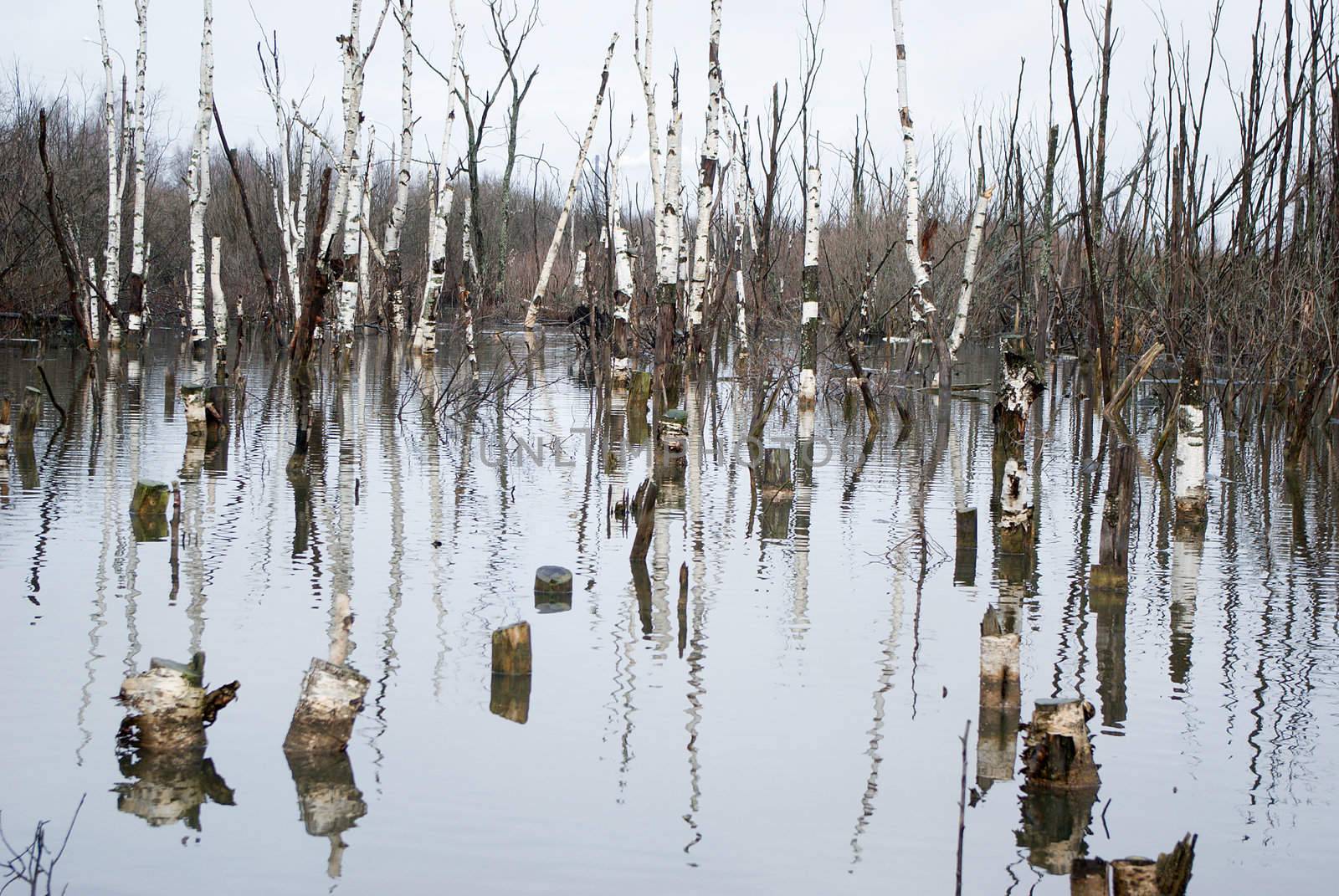 bad ecology .Dead landscape. Water with poison