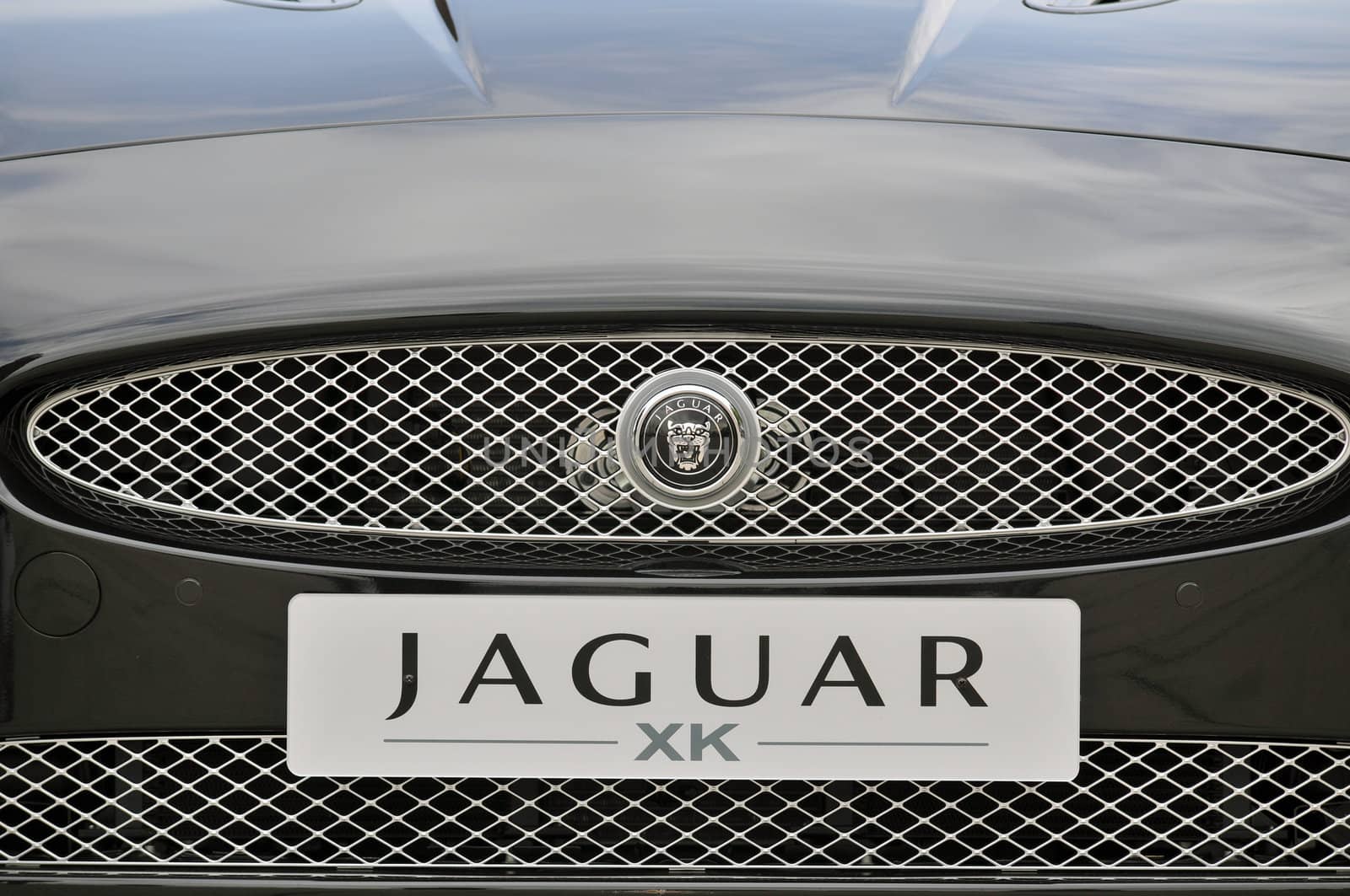 Front of Jaguar