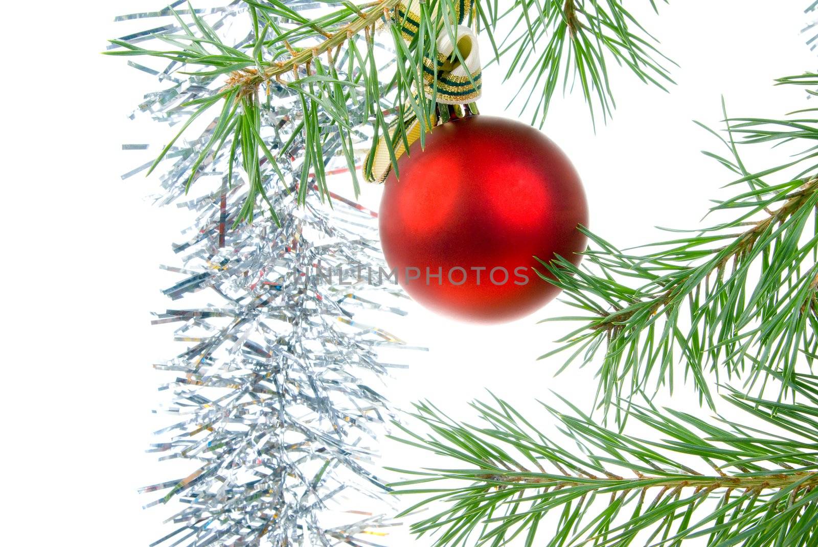 Christmas bauble  on background of the fur branches,red ball