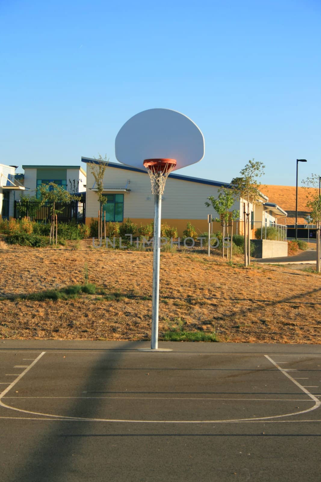 Basketball court on a sunny day in a park.

