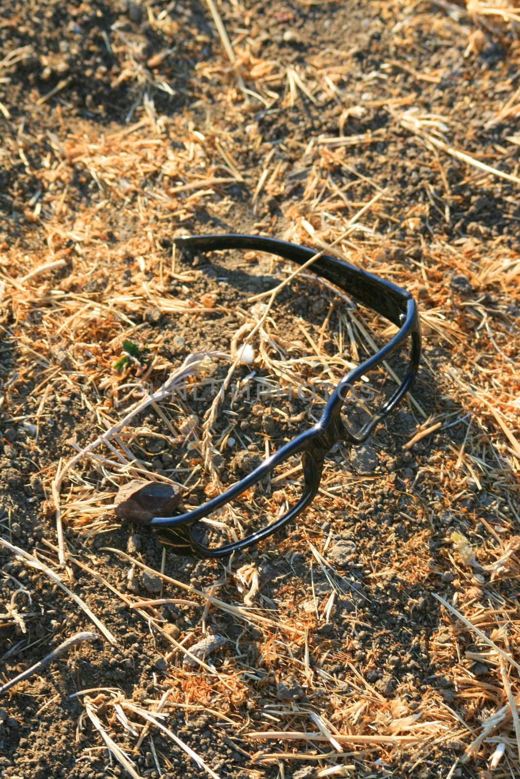 Close up of broken glasses on grass.
