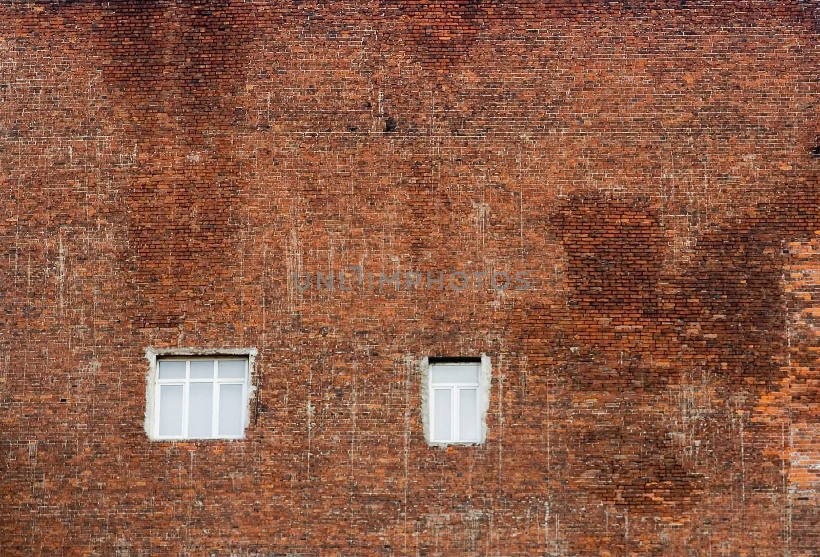 Two windows in an old brick wall