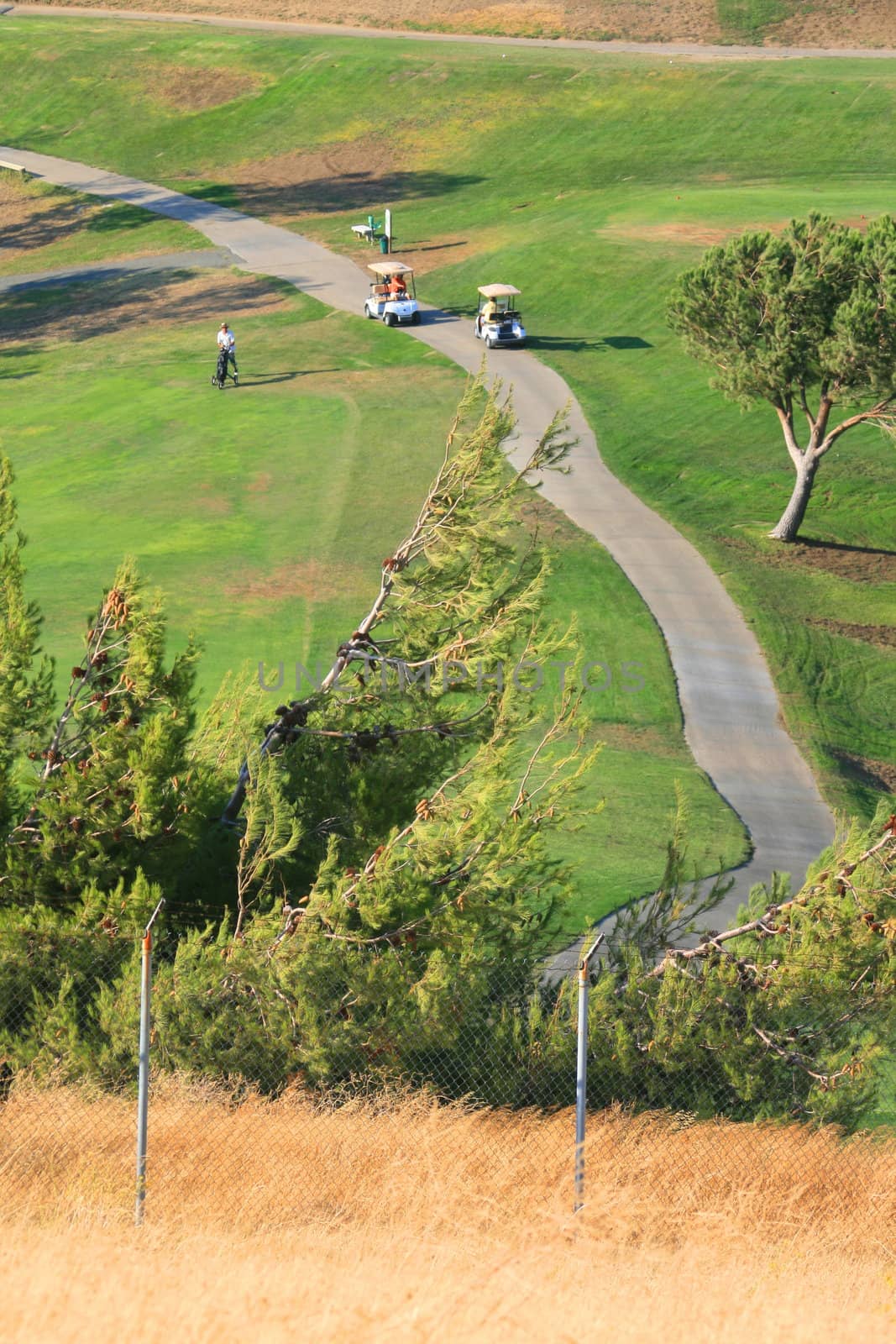 Golfers in golf carts on a big golf course.
