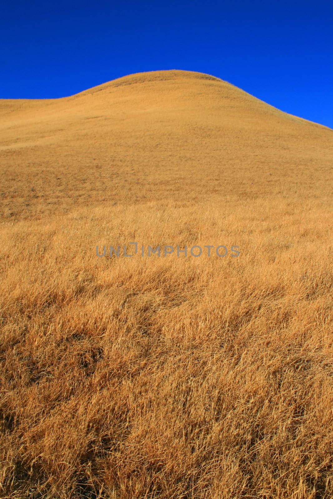 Tall mountain on a sunny day over blue sky.
