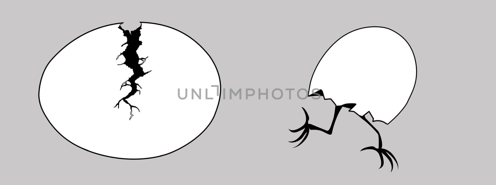 vector silhouette egg with rift on gray background