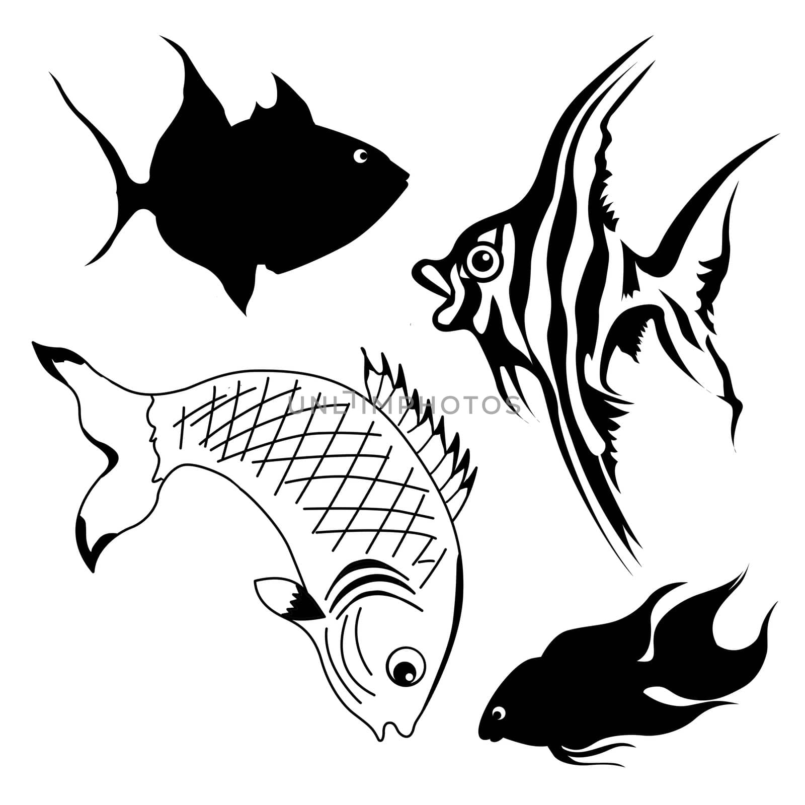 set of fish on white background by basel101658