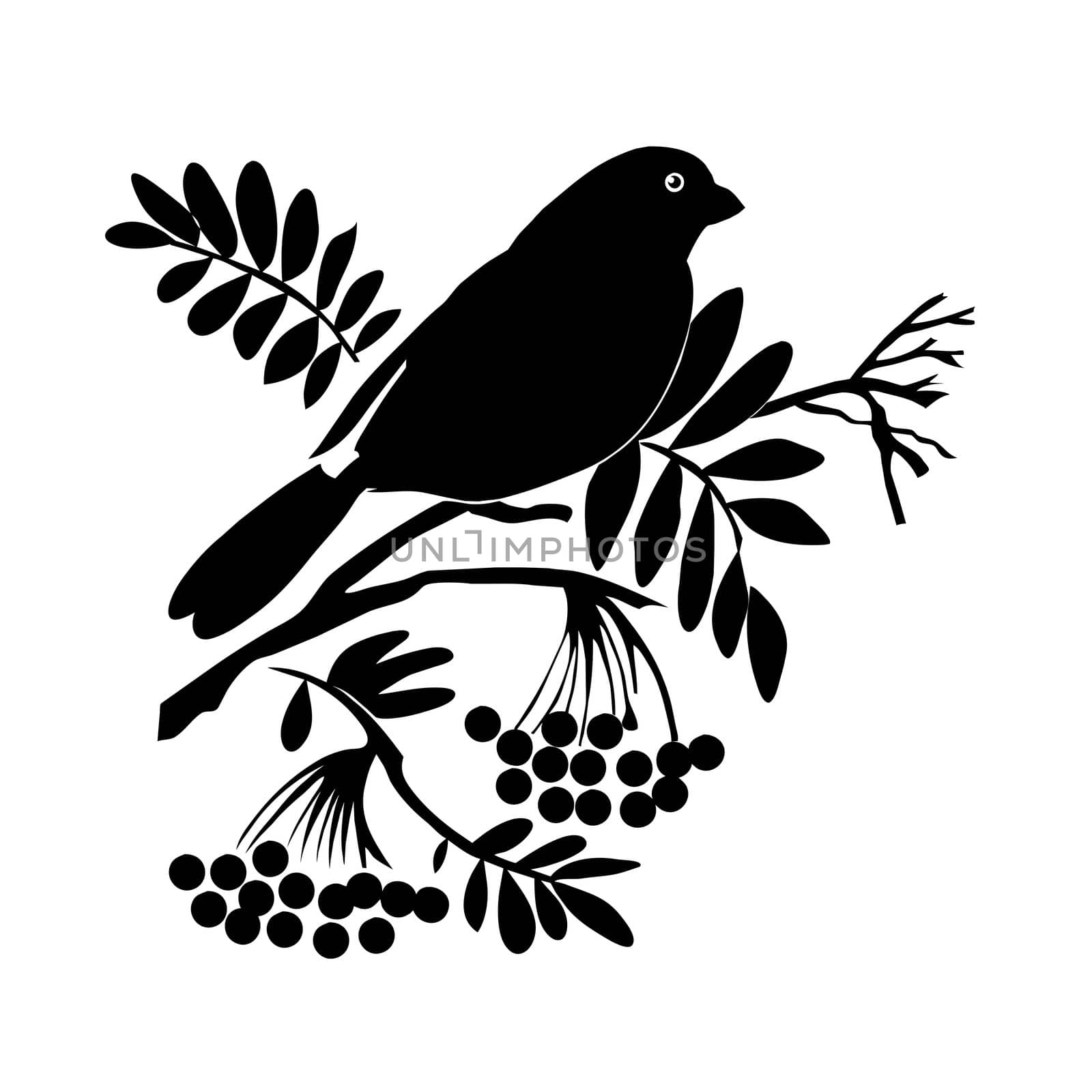 bird silhouette on white background, vector illustration by basel101658