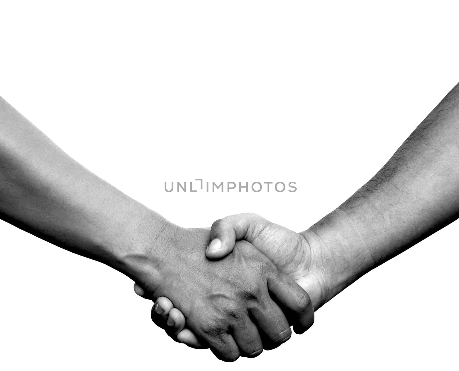 Handshake or hand in hand on white background with clipping path